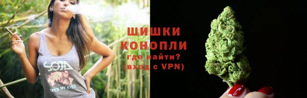 трава Ахтубинск
