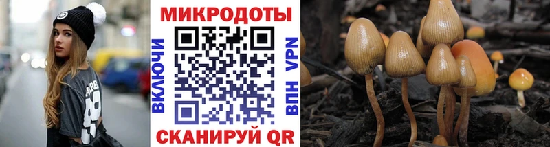 Псилоцибиновые грибы GOLDEN TEACHER  цены   гидра маркетплейс  Канск 