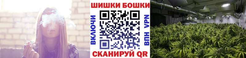 Бошки Шишки индика  где продают   Канск 
